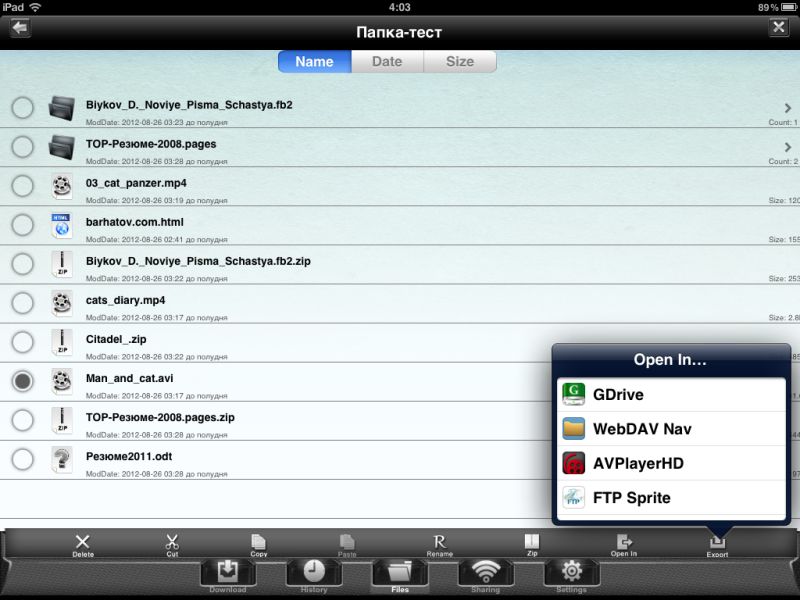 My Downloader Pro (iOS)