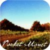 Pocket Monet